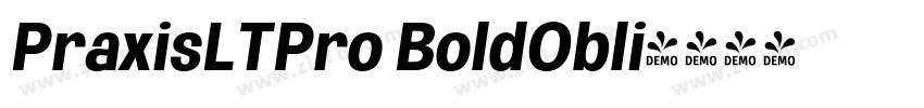 PraxisLTPro BoldObli字体转换